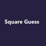 Square Guess image